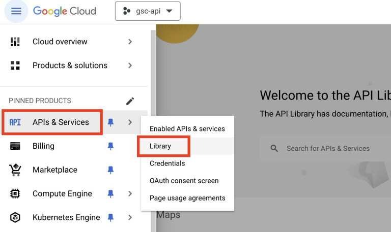 Google Cloud API Library Screen